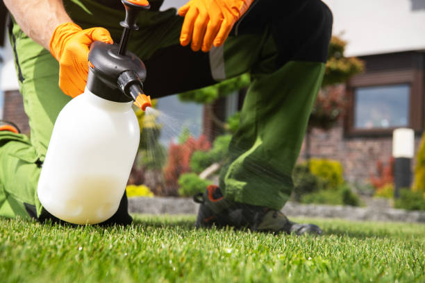 Best Affordable Pest Control Services  in Koontz Lake, IN
