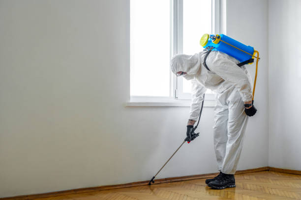 Flea Control Services in Koontz Lake, IN