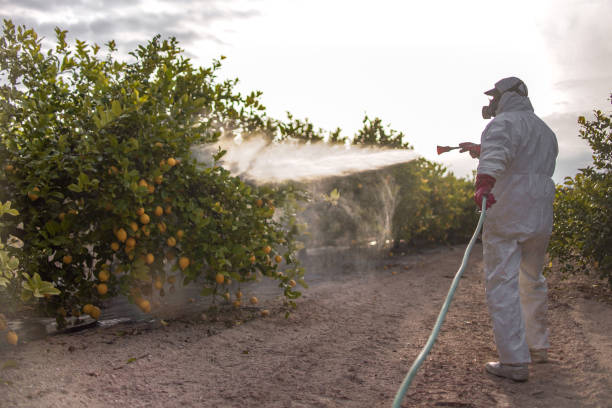 Best Commercial Pest Control Services  in Koontz Lake, IN