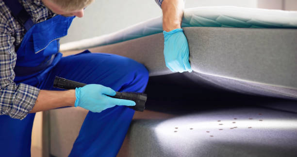 Best Mosquito Control Services  in Koontz Lake, IN