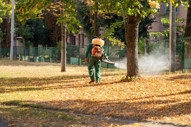 Best Local Pest Control Services  in Koontz Lake, IN