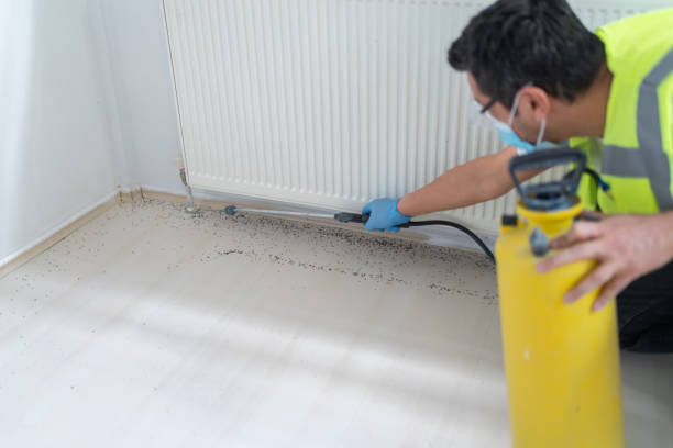 Best Pest Removal Services  in Koontz Lake, IN